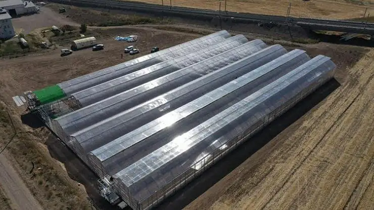 Fethiye'nin ihracat rekortmeni Ölüdeniz Sistem Sera! 