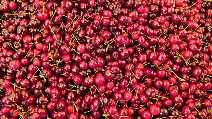 Fethiye Pazarı'nda meyve fiyatları yüksek, esnaf okul tatilini bekliyor