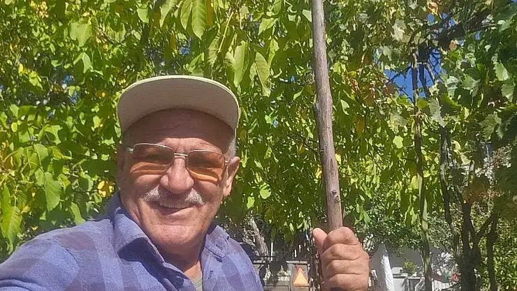 Fethiye yaylalarında ceviz hasadı başladı