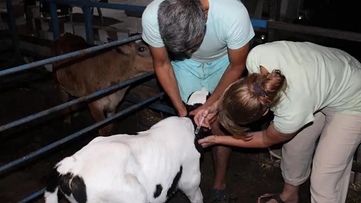 Fethiye'ye Tatile Geldi Hayatı Değişti