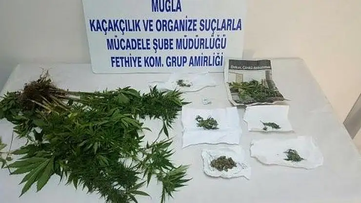 Fethiye'de Zehir Tacirlerine Geçit Yok