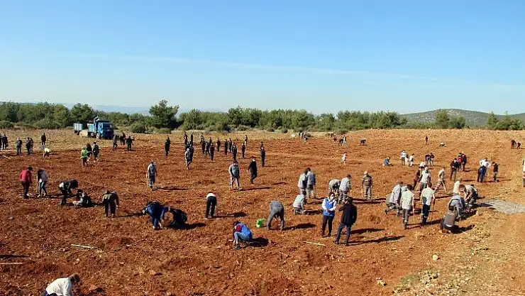 Fidanlar toprakla buluştu