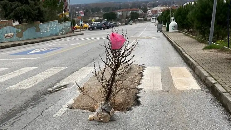 Fıkraları aratmayacak görüntü