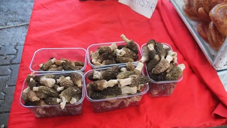 Fiyatı Dudak Uçuklatıyor 