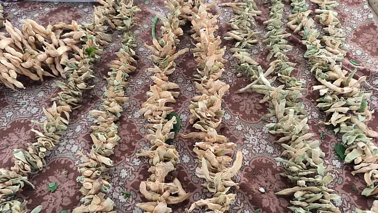 Fiyatlar Şu Anda 100 Lira, Küçüğüne 50 Lira Diyoruz