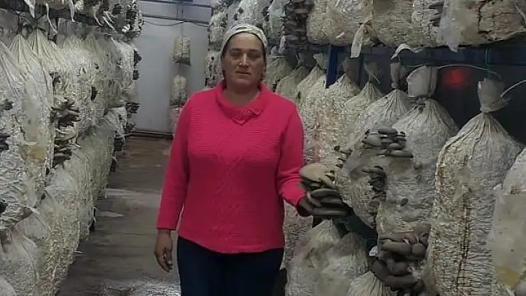 Genç çiftçilere işletmelerinde eğitim ve kontrol