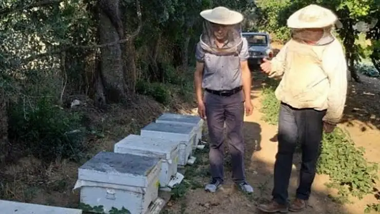 Girgin Arıcıların Şeker Sıkıntısını Tbmm'ye Taşıdı