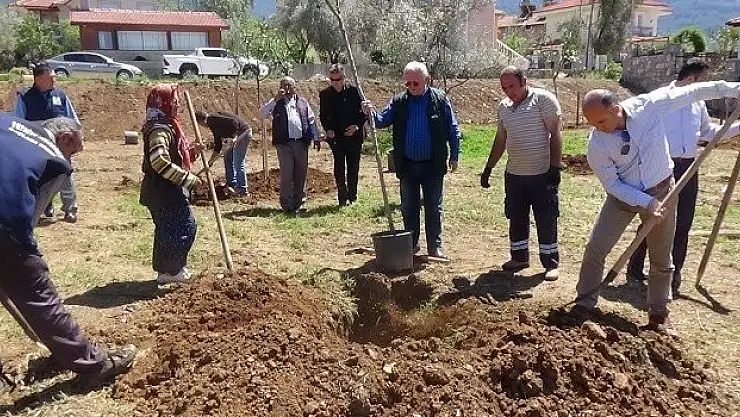 Göcek'in ardından Ölüdeniz de Yeşilleniyor