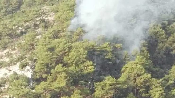 GÖKBEN'DE ORMAN YANGINI