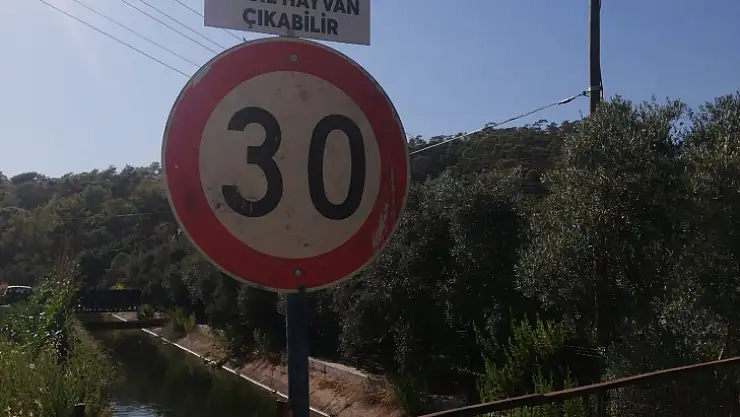 Haberimiz Ses Getirdi