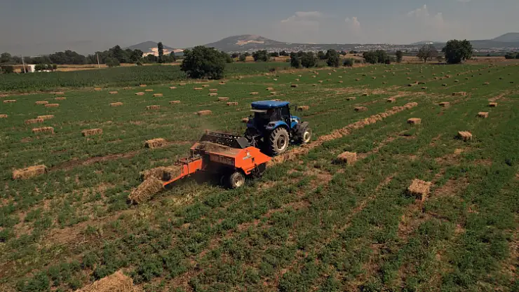 Hasadı yapılan kaba yemler üreticilere dağıtıldı