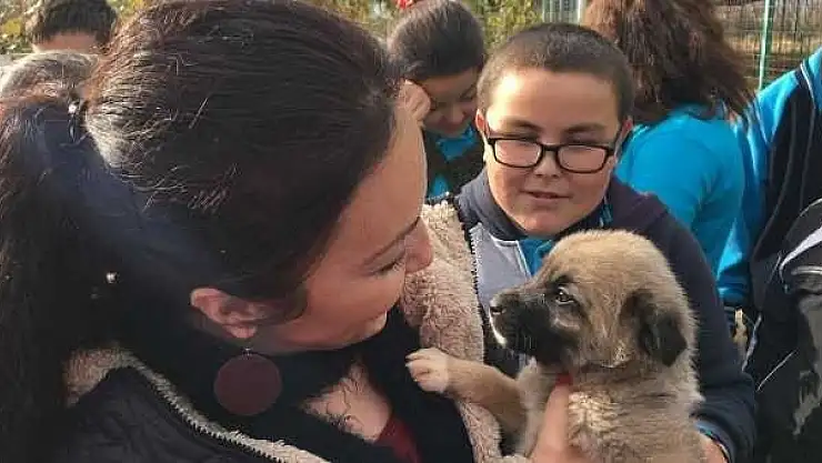 HAYVAN BARINAĞINA ZİYARET