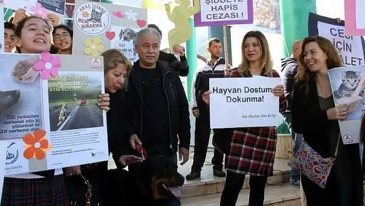 Hayvan Severler ' Cesi' İçin Toplandı