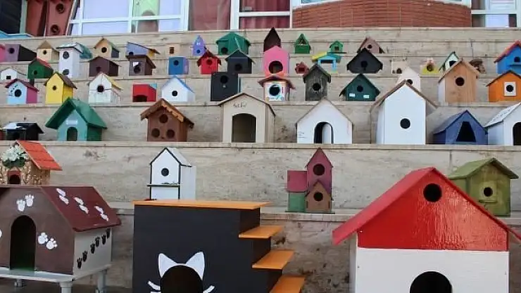 Hayvanlar için Birbirinden Güzel Yuvalar…