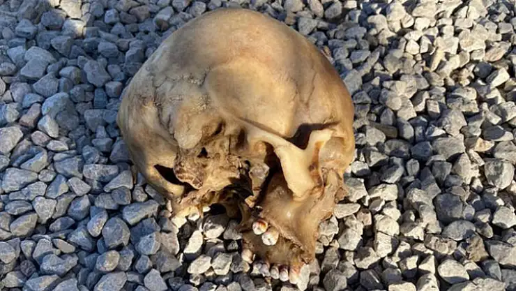 'Hayvanlar kardeşimi yiye yiye bitiriyor'