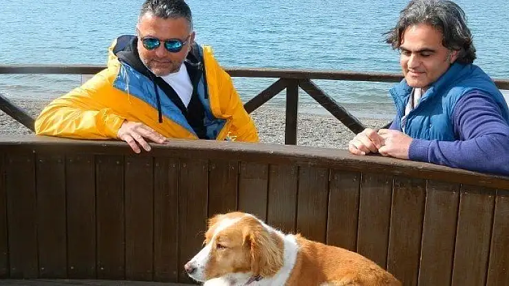 Hayvanları Zehirliyenler Bulunacak