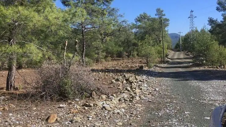 Hırsızlar öğrencilerin eğitimini engelledi