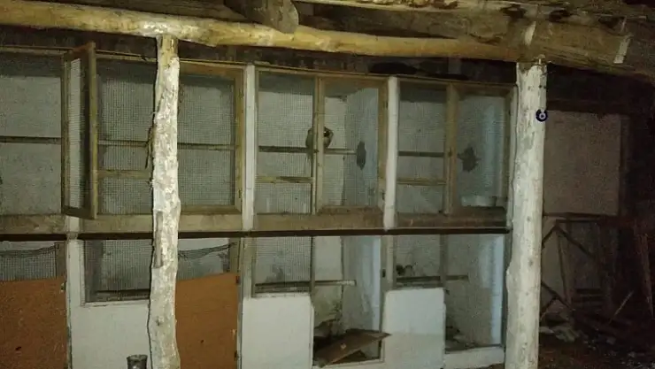 Horoz dövüştüren 6 kişiye 27 bin 380 lira para cezası