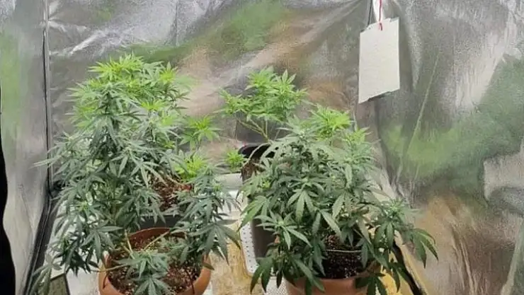 İki haftada 24 uyuşturucu operasyonu