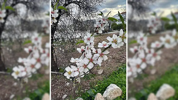 İlk Cemre Havaya Düştü