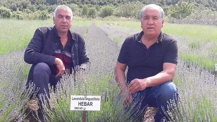 İNCİRKÖY ÇİFTÇİSİ KIRAÇ TOPRAKLARIN MOR MUCİZESİ İLE TANIŞTI