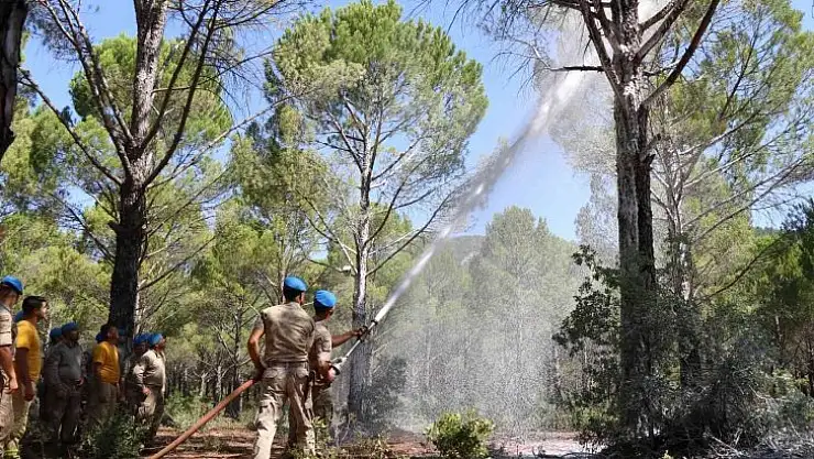 Jandarma ekipleri orman yangınlarına hazır