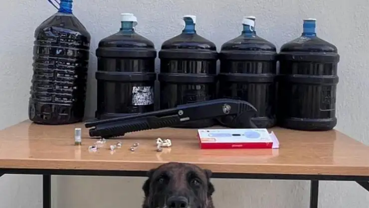 Jandarma komutanlığından Operasyon