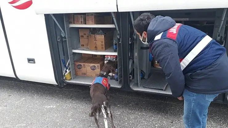 Jandarmadan 456 personelle 'Narkotik ve Huzur' uygulaması