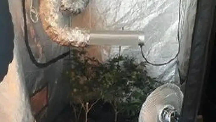   JANDARMA'DAN GÖCEK'TE UYUŞTURUCU OPERASYONU