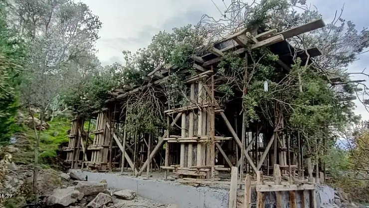 Kaçak inşaatı, dallarla gizlemeye çalıştılar