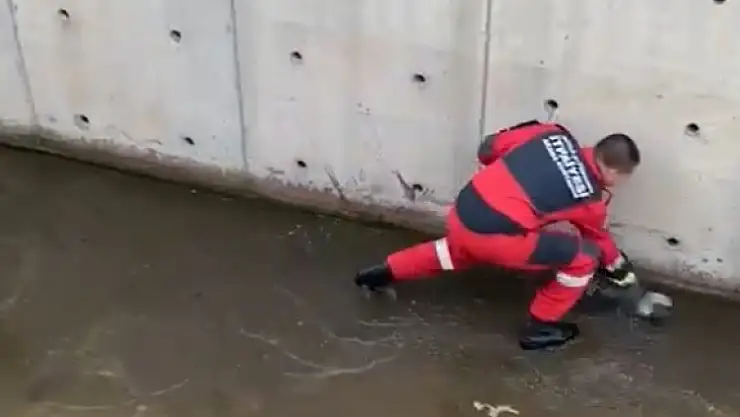 Kanala düşen yaralı güvercini itfaiye ekipleri kurtardı