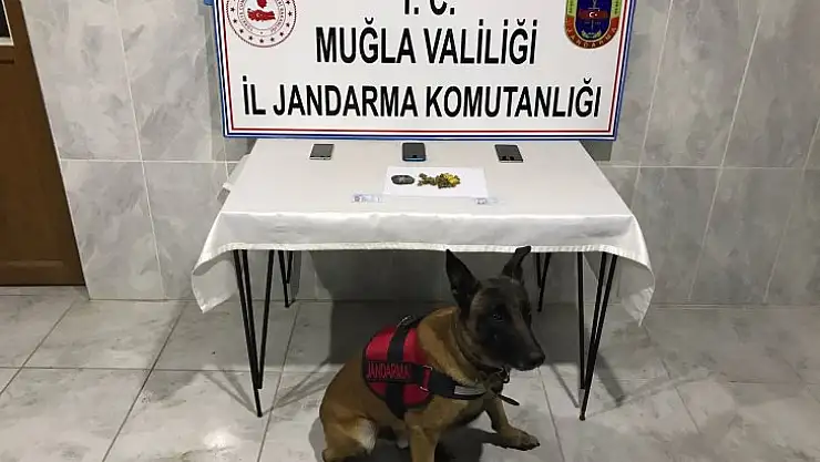 Kaptan'dan Kaçamadılar