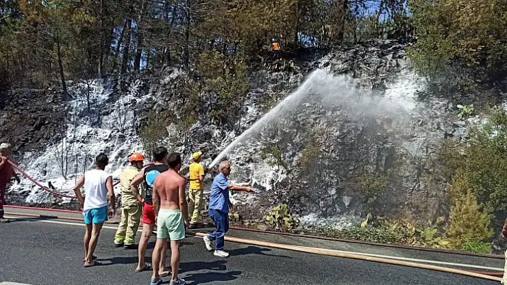 Karayolunda çıkan yangın ormana sıçradı