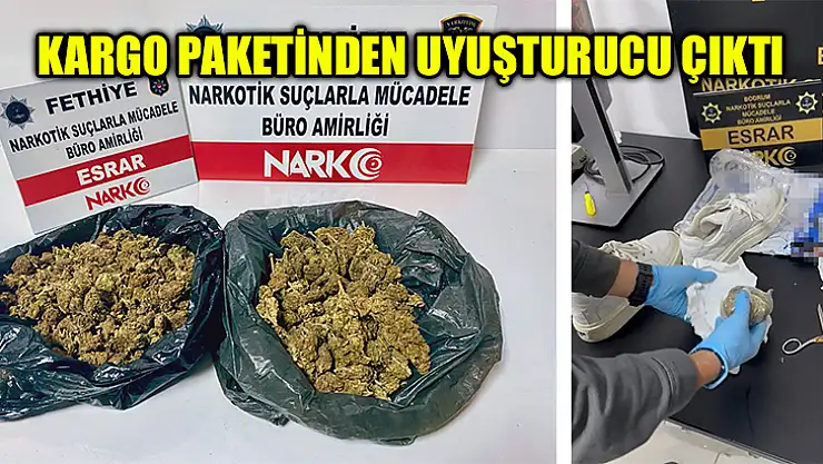 Kargo Paketinden Uyuşturucu Çıktı