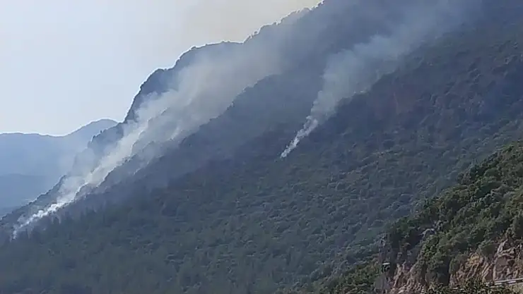 Kaş'ta orman yangını!