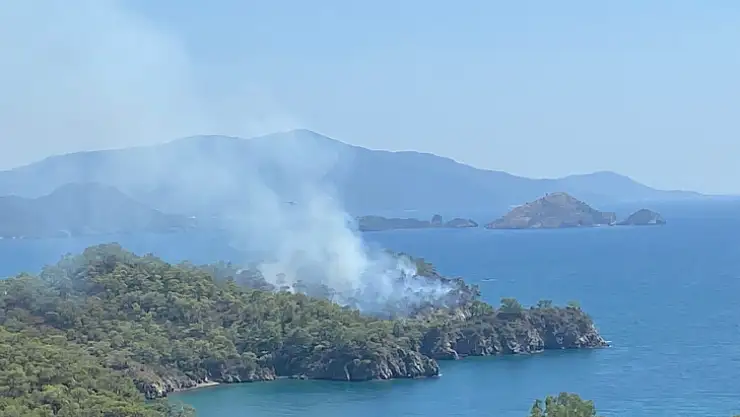 Katrancı Koyu'ndaki orman yangını kontrol altında