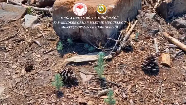 KAVAKLIDERE'DE YANAN ALANLARDA ÇALIŞMALAR SÜRÜYOR