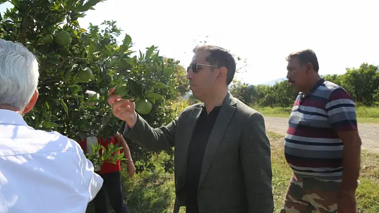 Kaymakam Aktaş, limon hasadı yapan işçilerle bir araya geldi