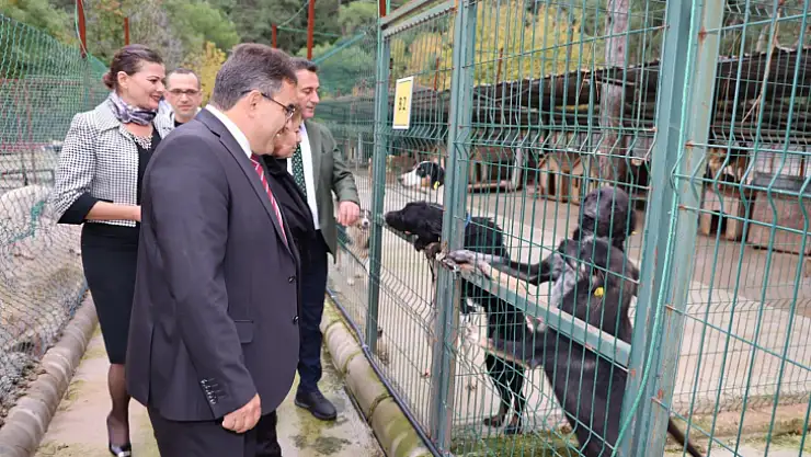 Kaymakam Kaya, Marmaris Geçici Hayvan Bakımevi'ni Gezdi
