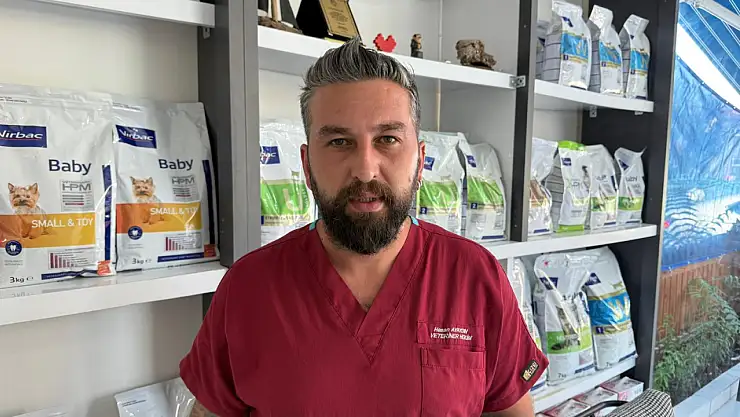 Kedi ve Köpeklerin Sağlığı İçin Beslenmede Doğru Yöntemler