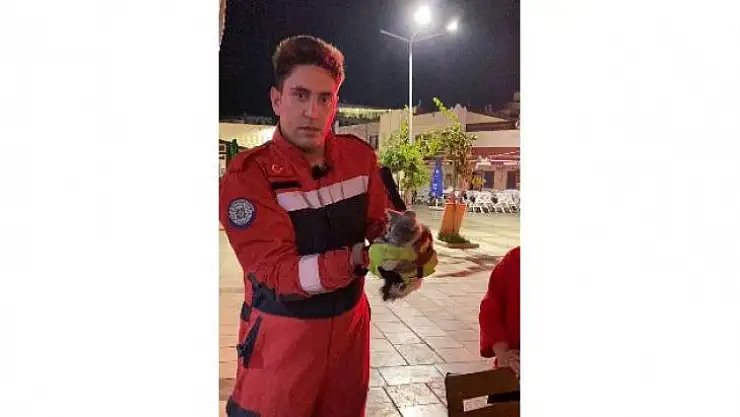 Kedinin feryadına itfaiye yetişti