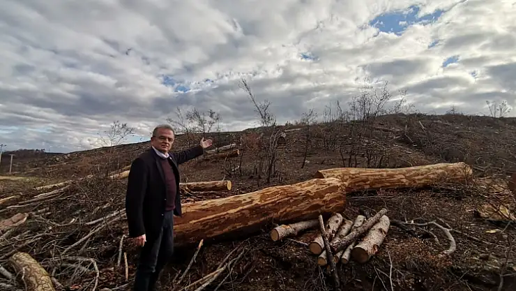Kesim Gelirleri Yangın Mağdurları İçin Harcansın!