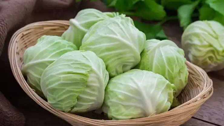 Kış Mevsiminin 5 Eşsiz Sebzesi