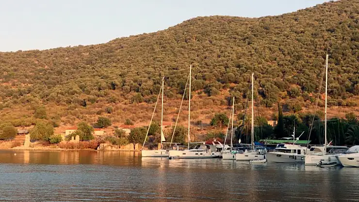 Kıyı ve Koylar her yönüyle ele alındı