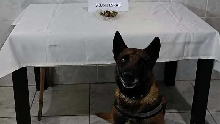 'KONT' DESTEKLİ UYUŞTURUCU DENETİMİ