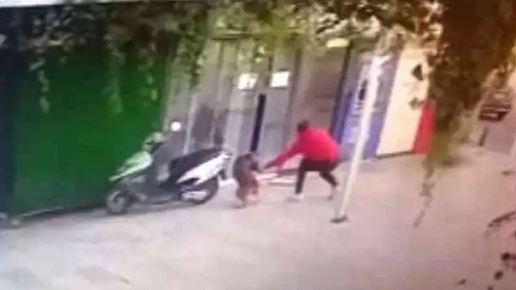 KÖPEĞİ BIÇAKLAYARAK ÖLDÜRDÜ, O ANLAR GÜVENLİK KAMERASINA YANSIDI