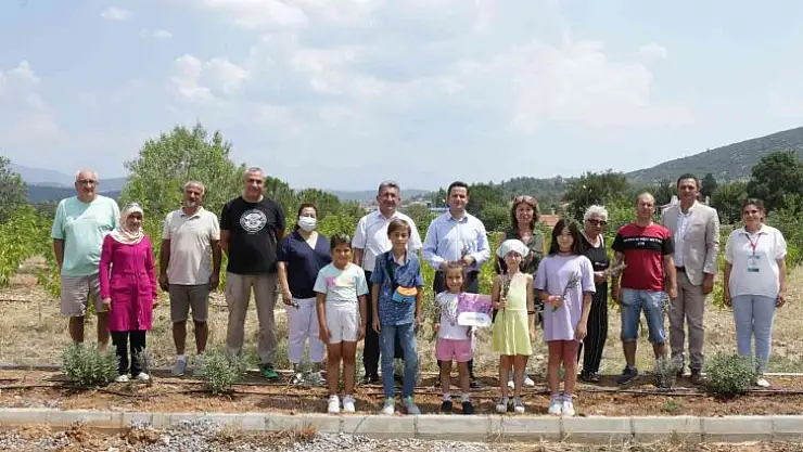 KÖY YAŞAM MERKEZİNDE LAVANTA HASADI YAPILDI