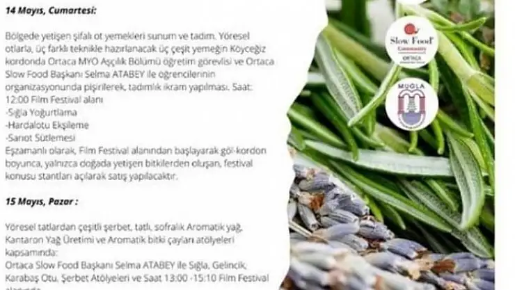 KÖYCEĞİZ'DE DEVALI TATLAR FESTİVALİ DÜZENLENİYOR