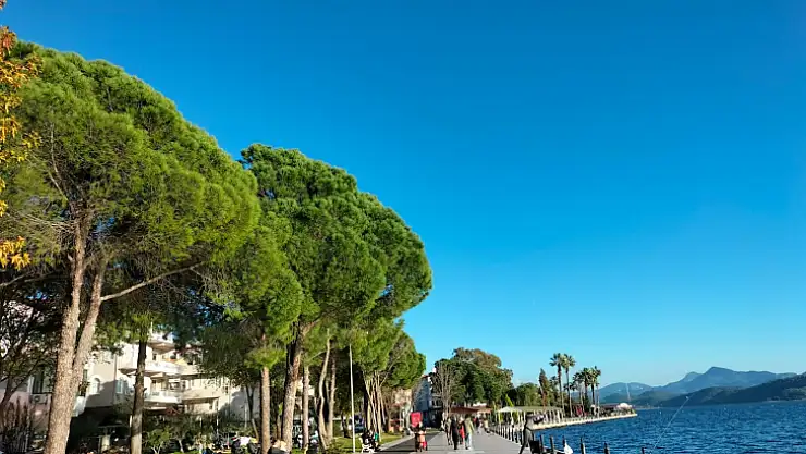 Köyceğiz'de kış ortasında bahar havası yaşandı