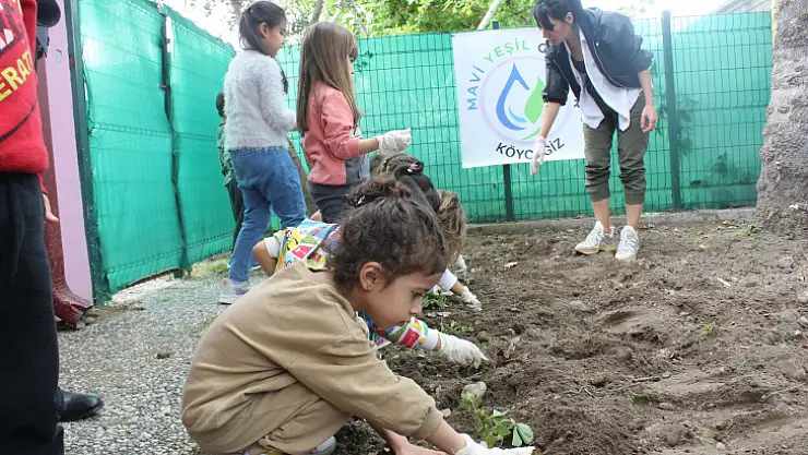 Köyceğiz'de minikler çilek fidelerini toprakla buluşturdu
